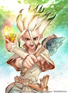 Dr. Stone