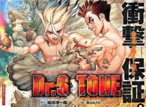 Dr. Stone