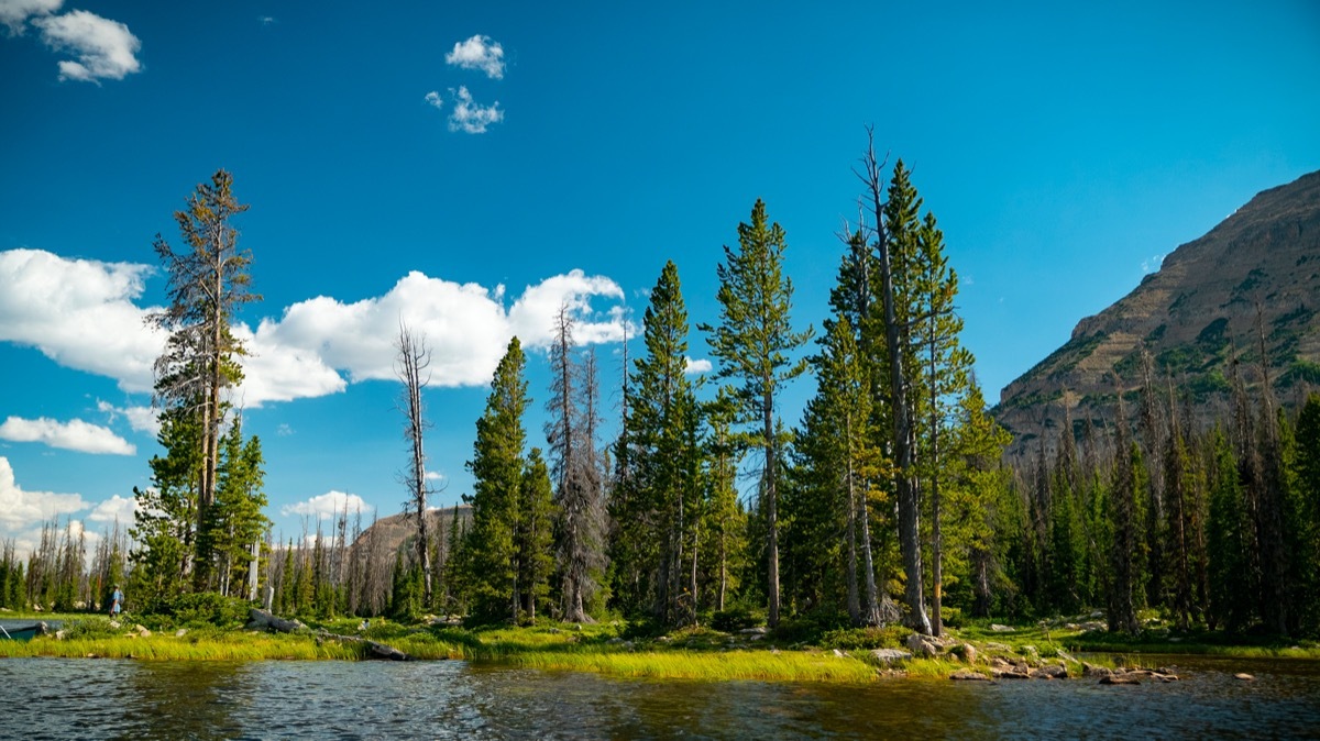 Beautiful small lake in the middle of the Uintah forest on a warm summer day in Duchesne County, Utah