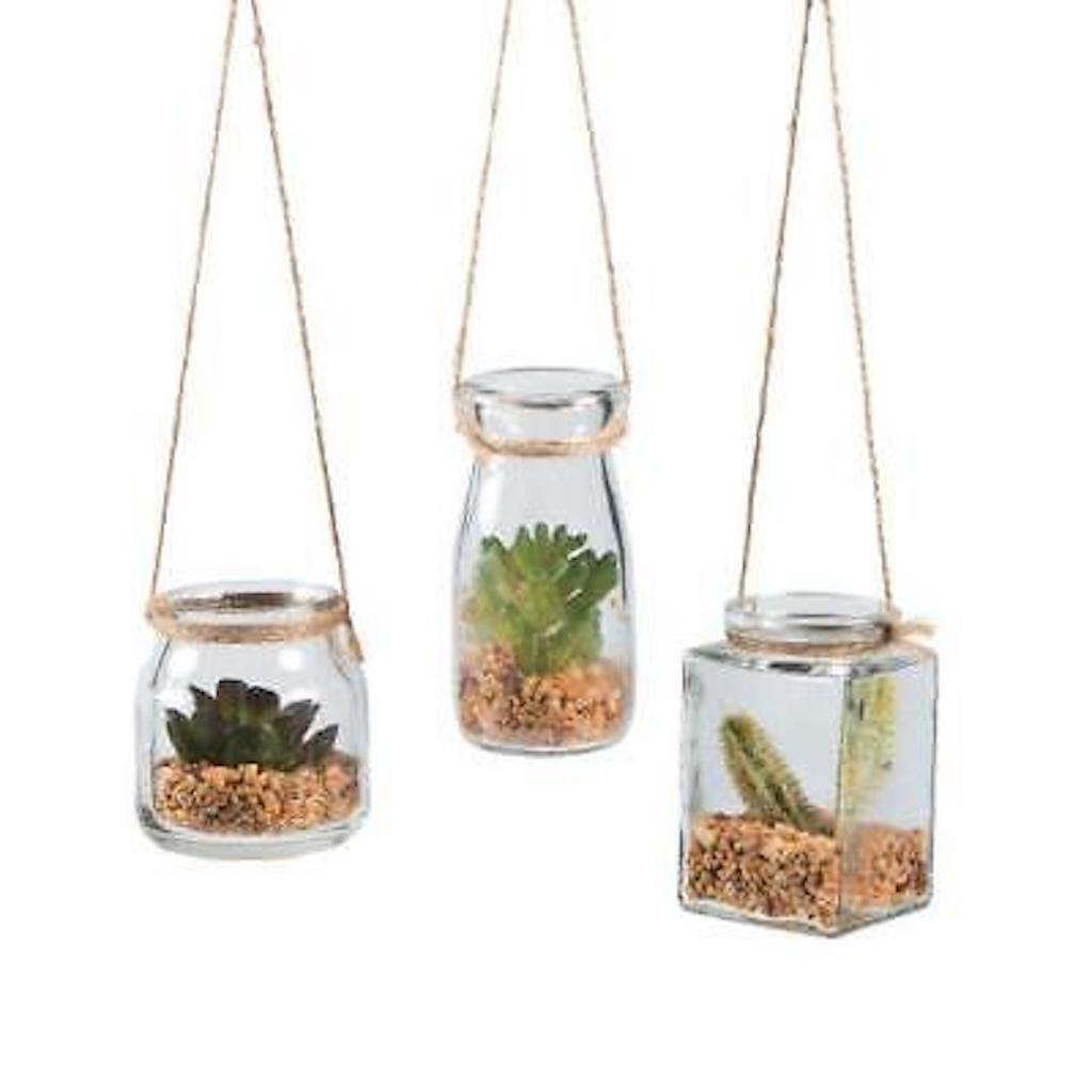 Hanging jars with succulents 