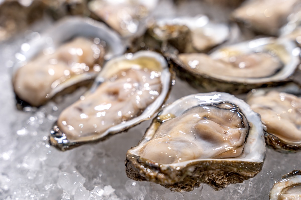 Raw oysters