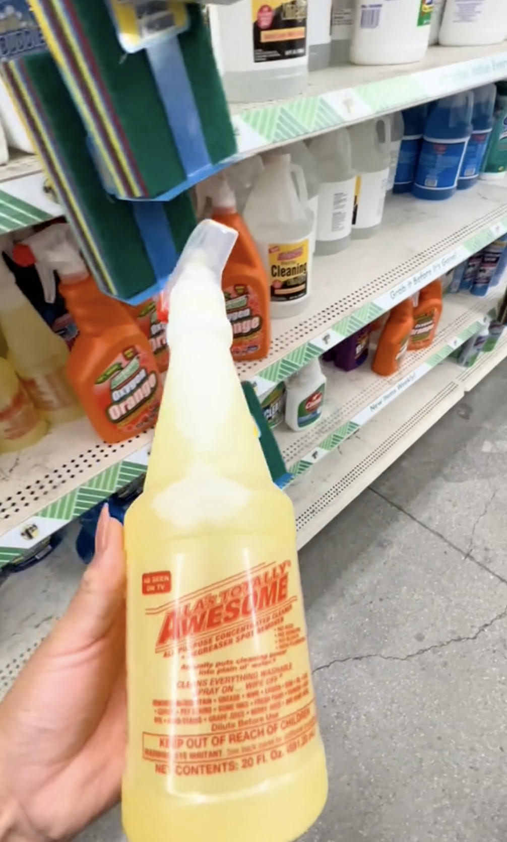 cleaning solution dollar tree