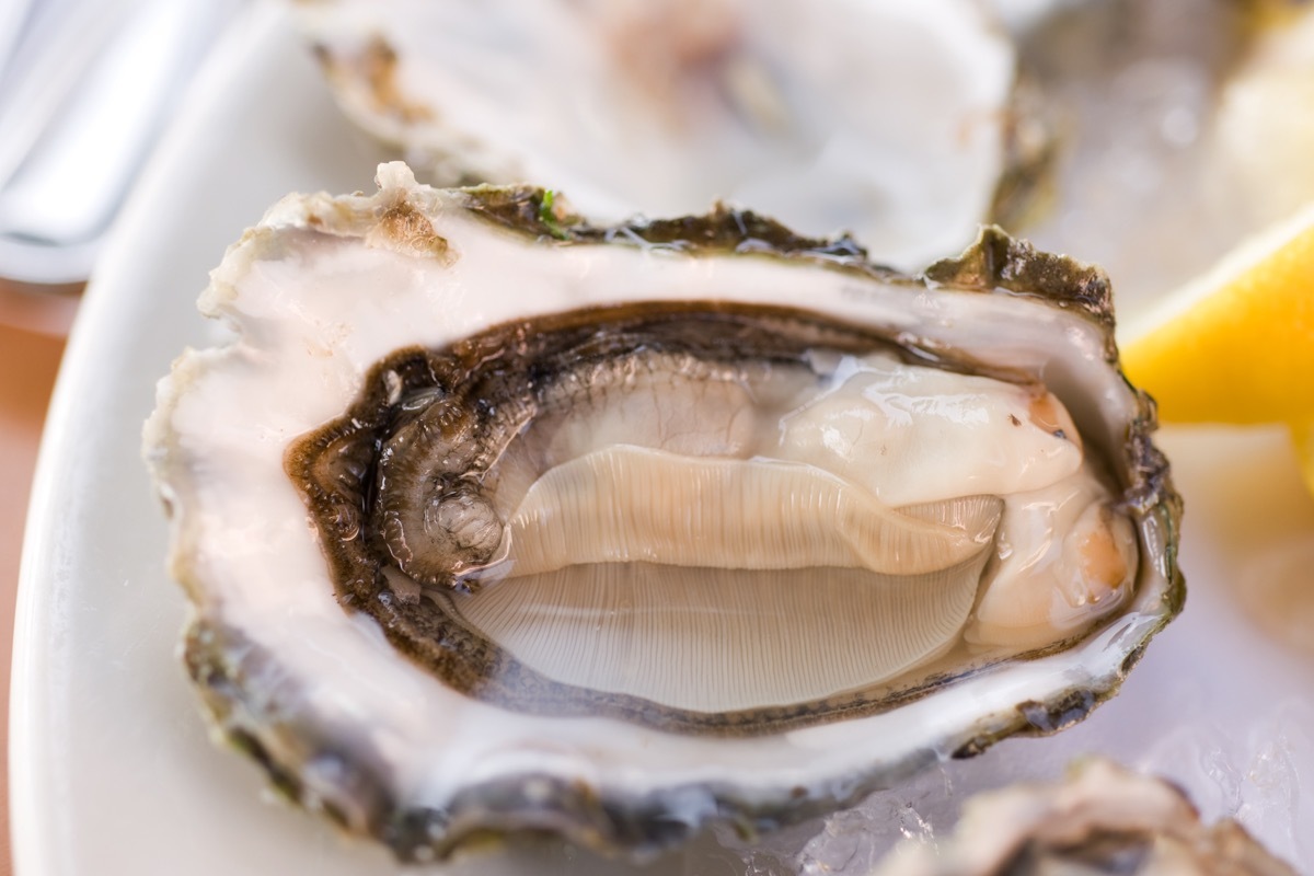 olympia oyster in a dish