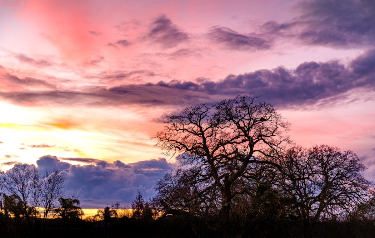 rocklin california, amazing facts