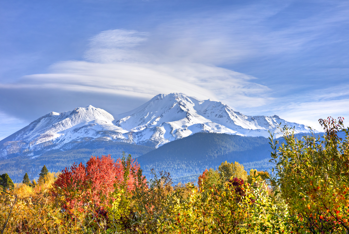 Fall foliage in front of California's snow-capped Mt. Shasta