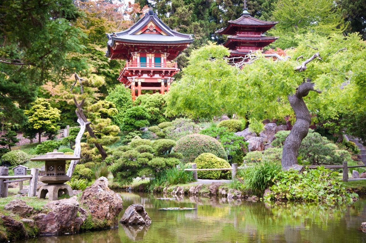 Japanese Tea Garden in Golden Gate Park