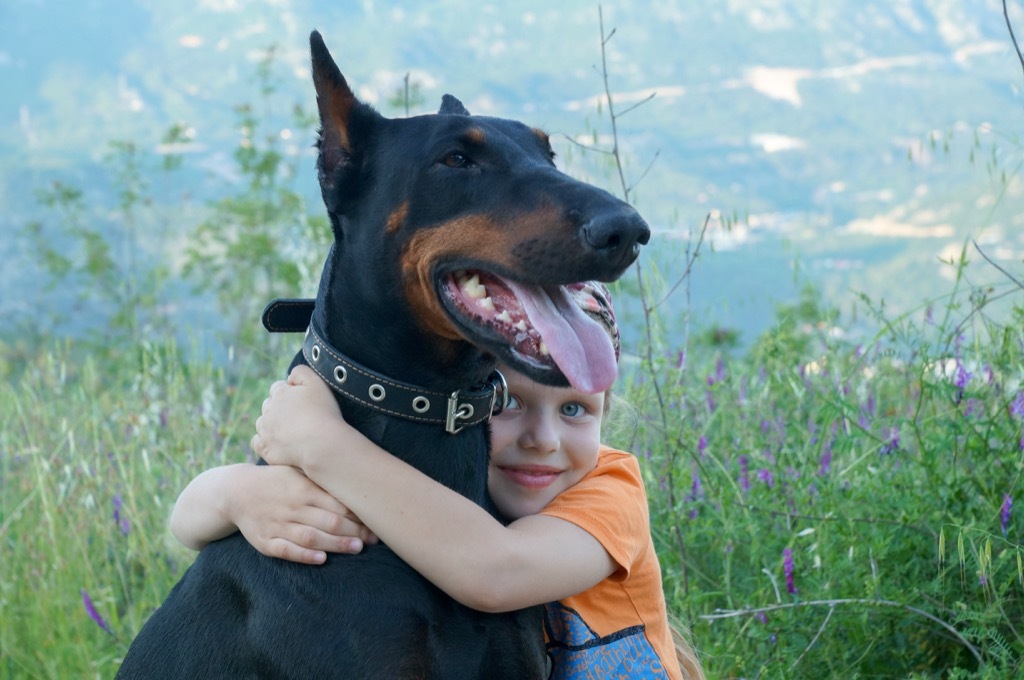 doberman getting hug from girl