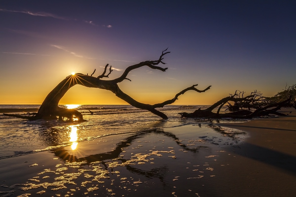 sunrise over driftwood beach in georgia