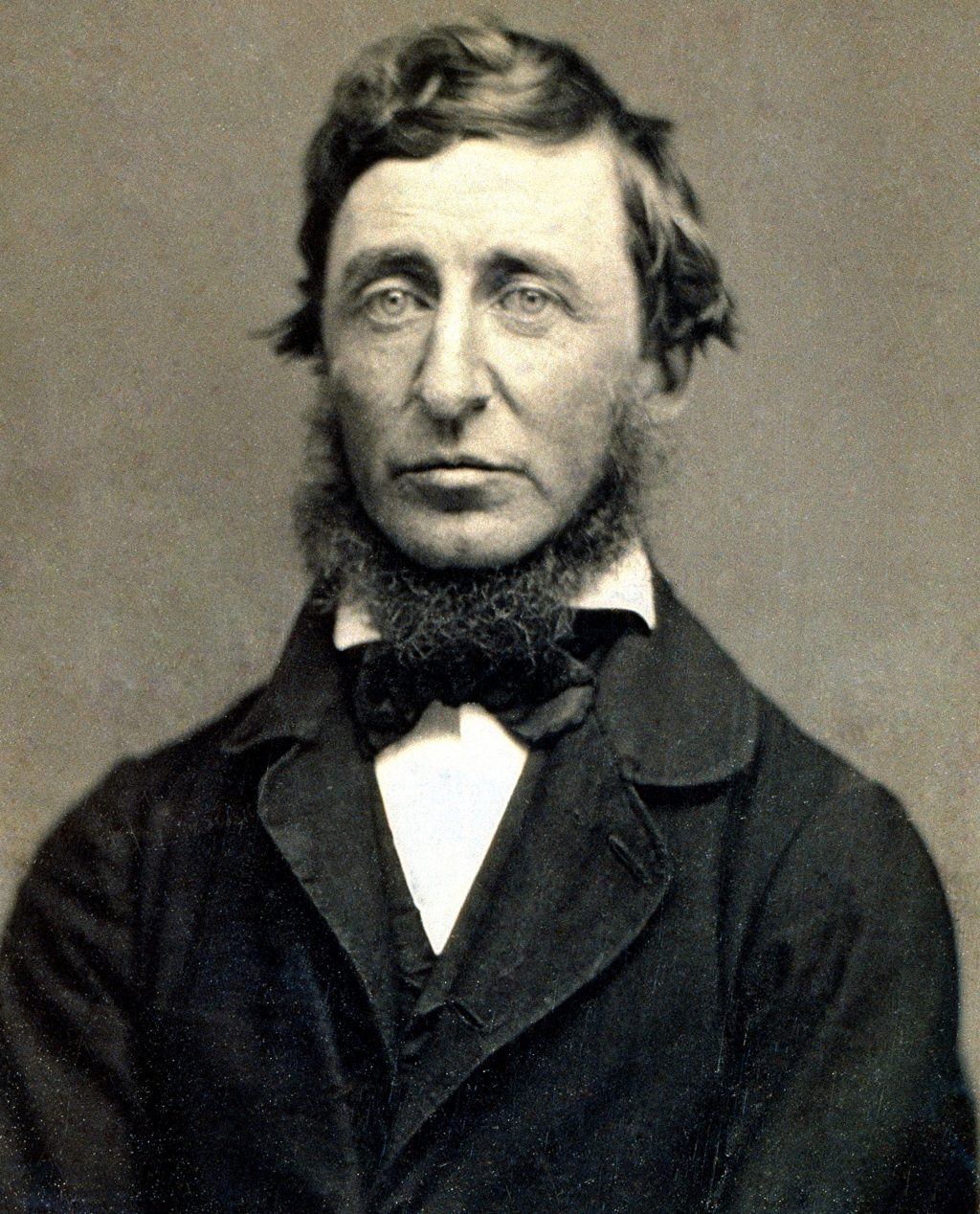 henry thoreau success quotes