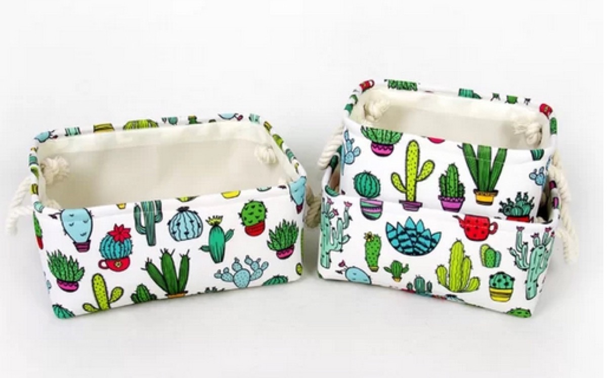 cactus storage bins