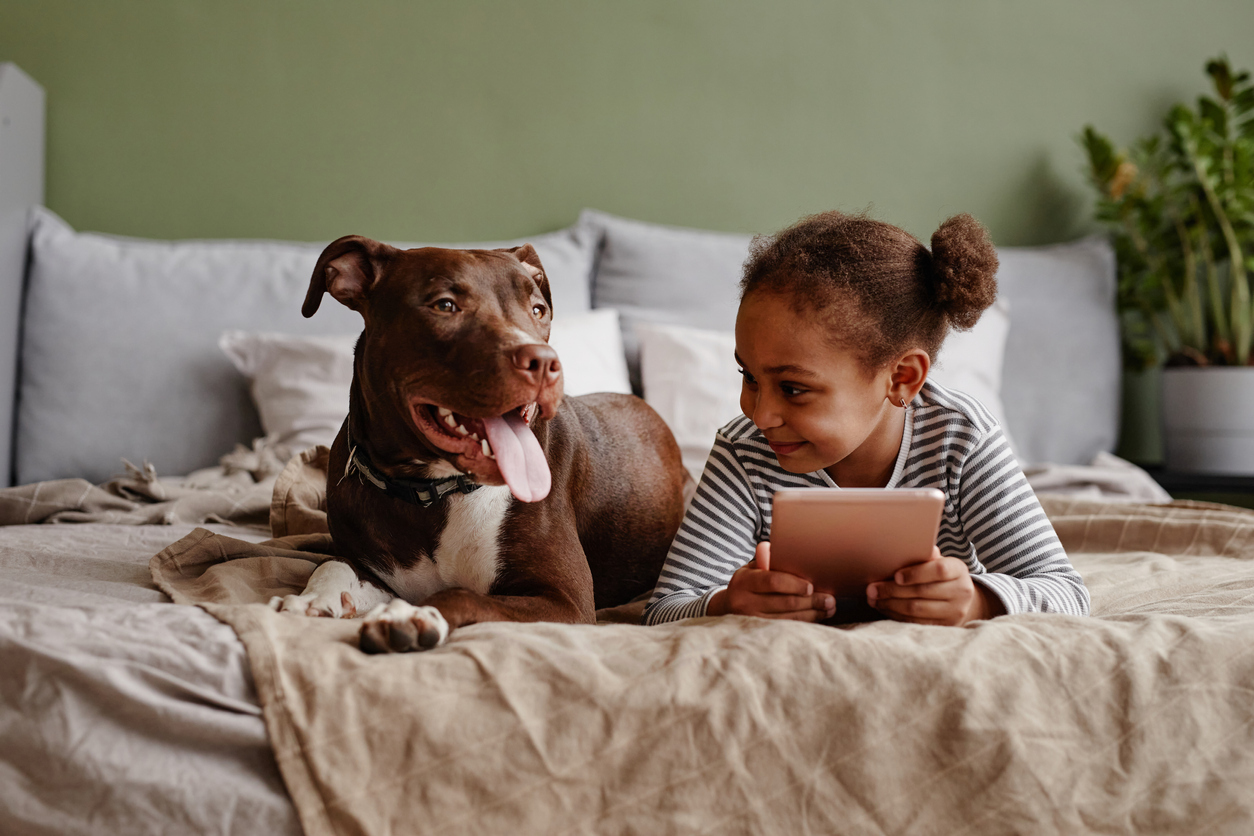 Front view portrait of cute African-American girl lying on bed with big pet dog and smiling, copy space