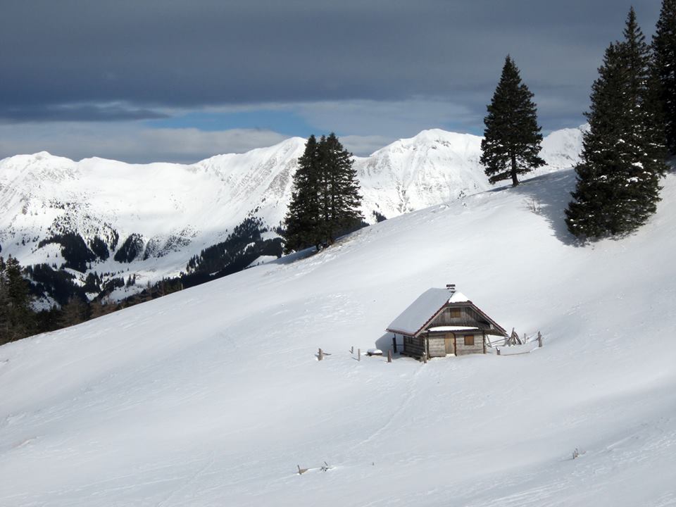 stunningly-dreamy-remote -cabins-in-the-middle-of-nowhere-03