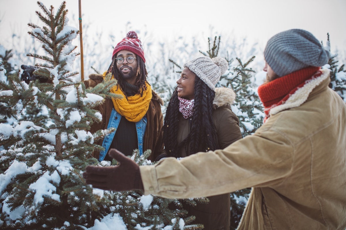 couple choosing a tree is a christmas tree farm