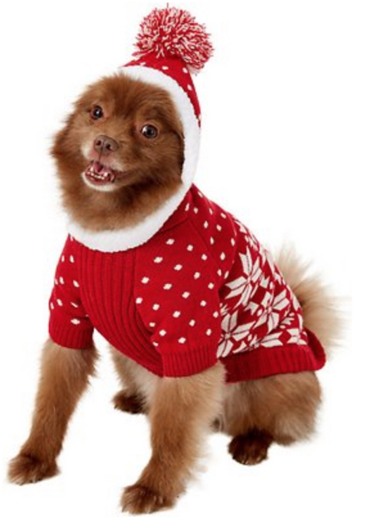 Blueberry Snowflake Dog Sweater adorable dog outfits