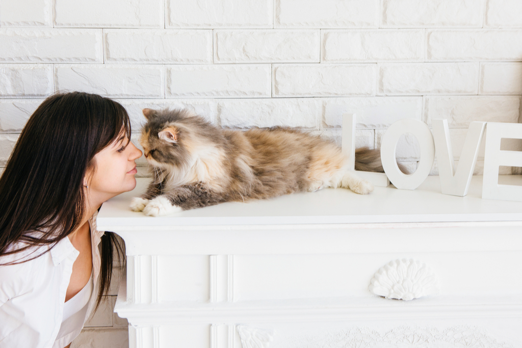 Cat and Owner Touching Noses