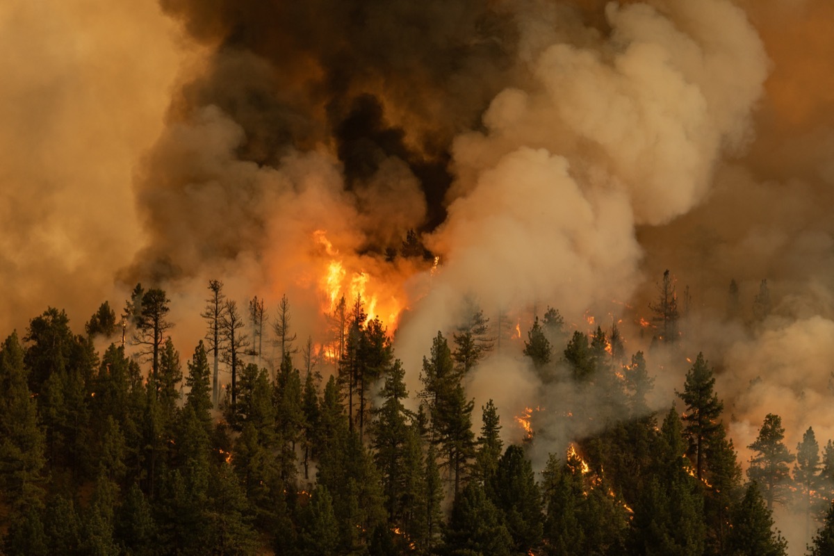 wildfire in california