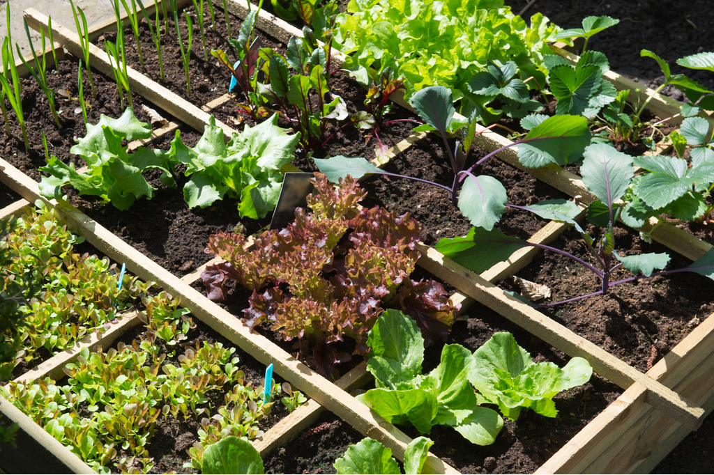 Container Garden Boosting Your Home's Curb Appeal