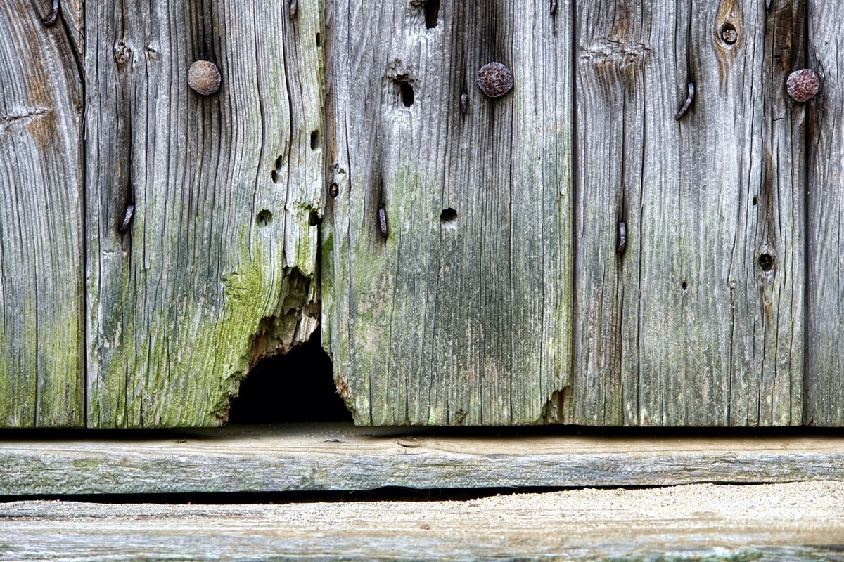 hole in wood siding