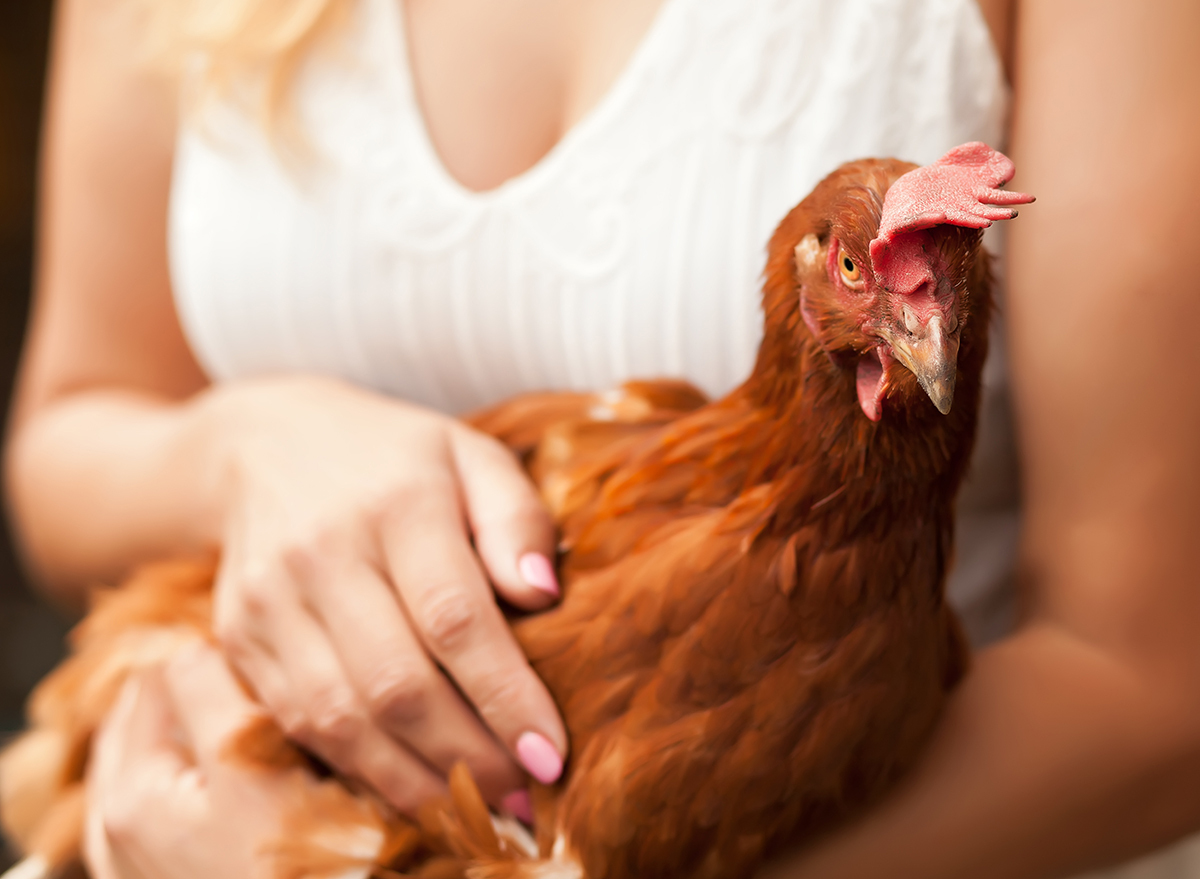 woman holding a chicken