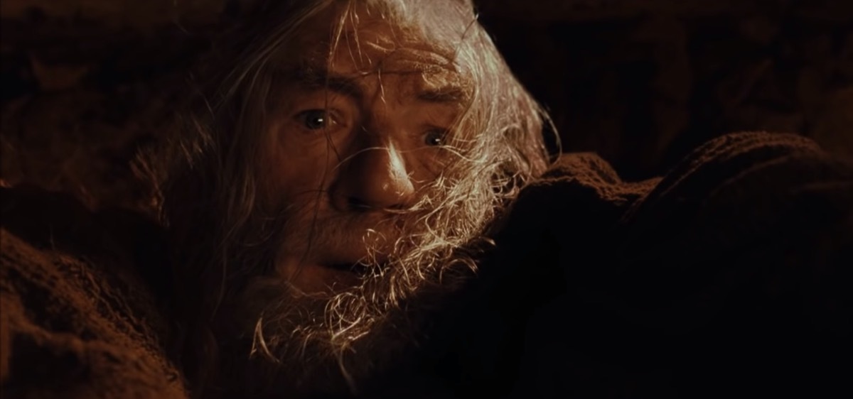 Ian McKellen in The Lord of the Rings: The Fellowship of the Ring