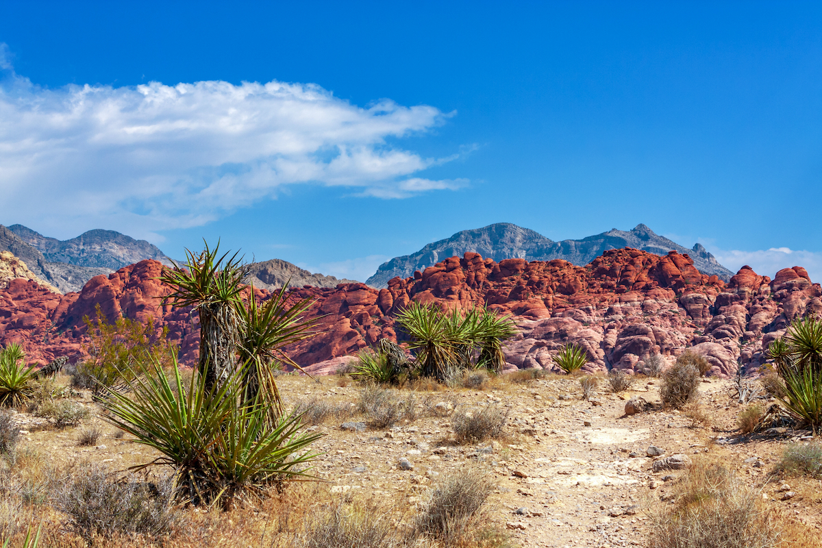 Las Vegas hike