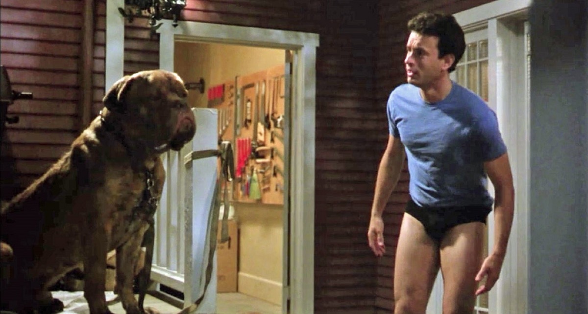 tom hanks in turner and hooch