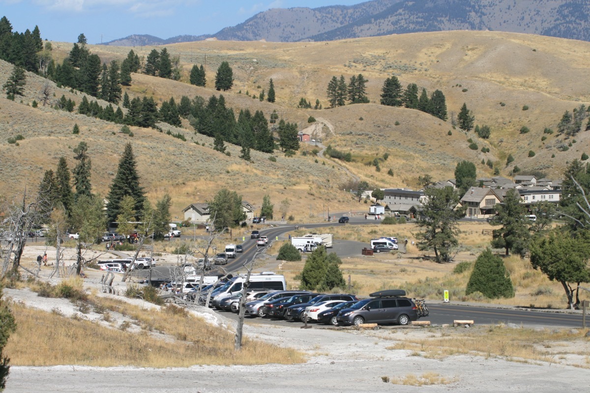 parking at mammoth hot springs yellowstone