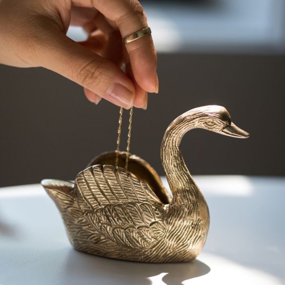 person putting necklace into swan dish