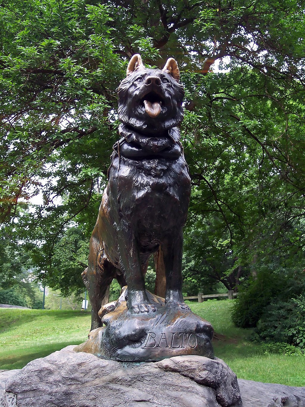 Balto dog