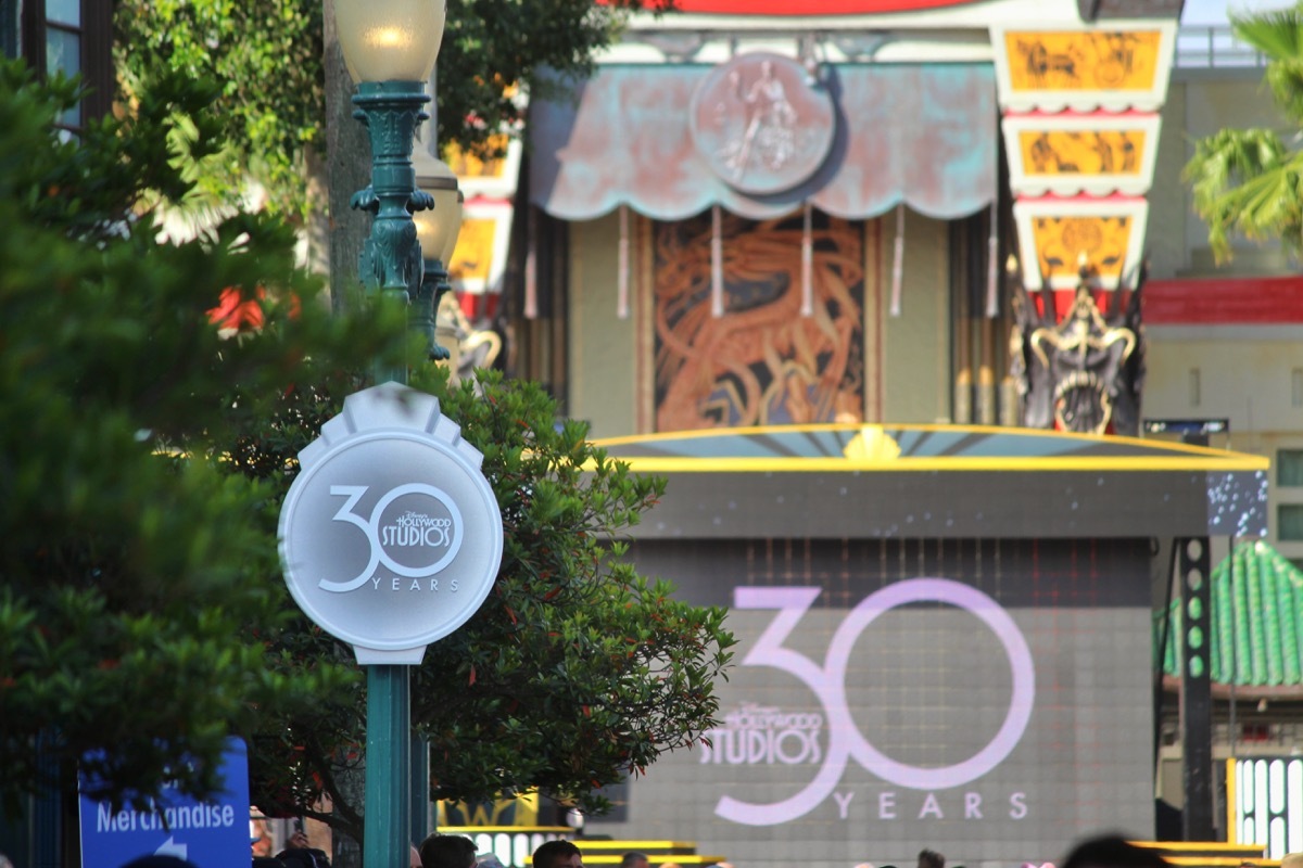 hollywood studios disney landscape