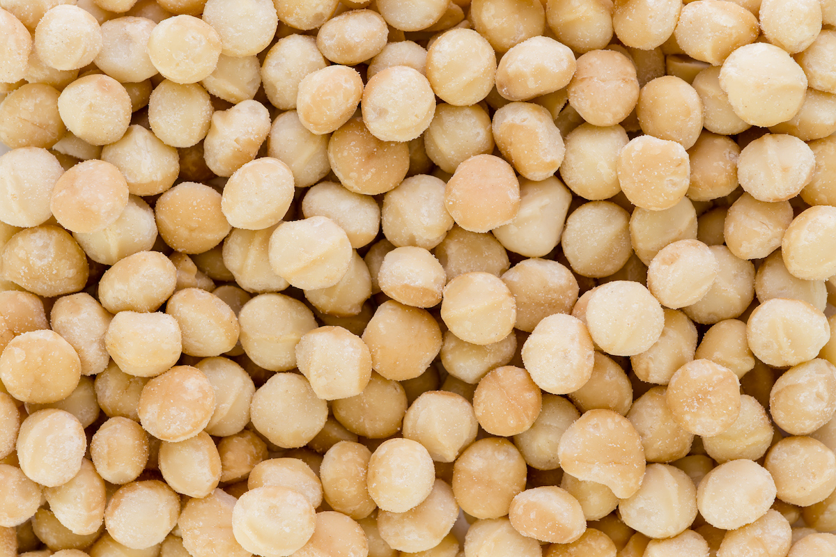 close up of macadamia nuts