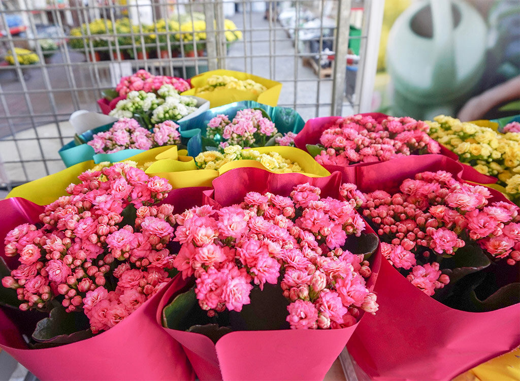 Flowers in front of supermarket