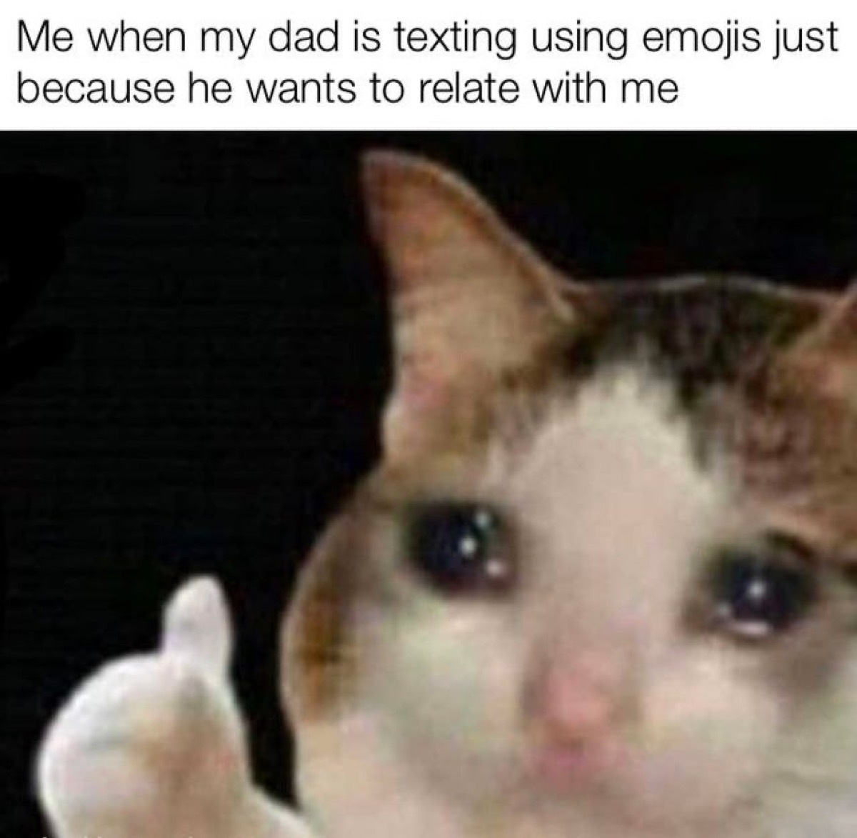 Crying cat meme with the caption, 