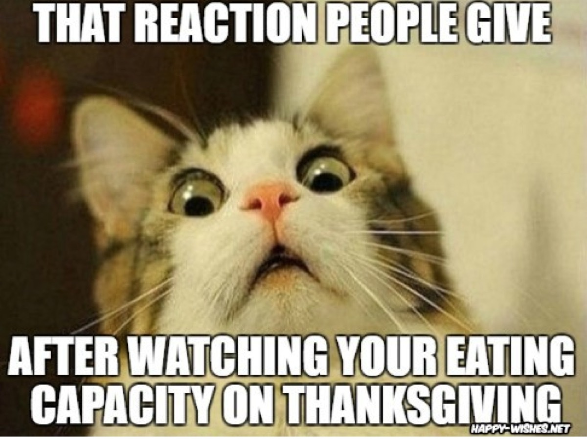 thanksgiving memes