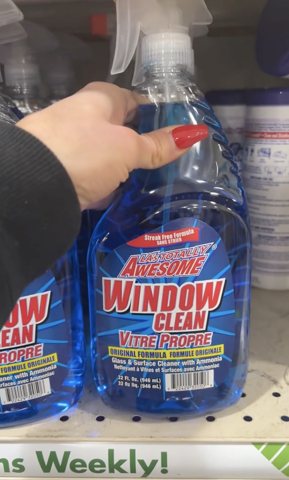 window cleaner dollar tree