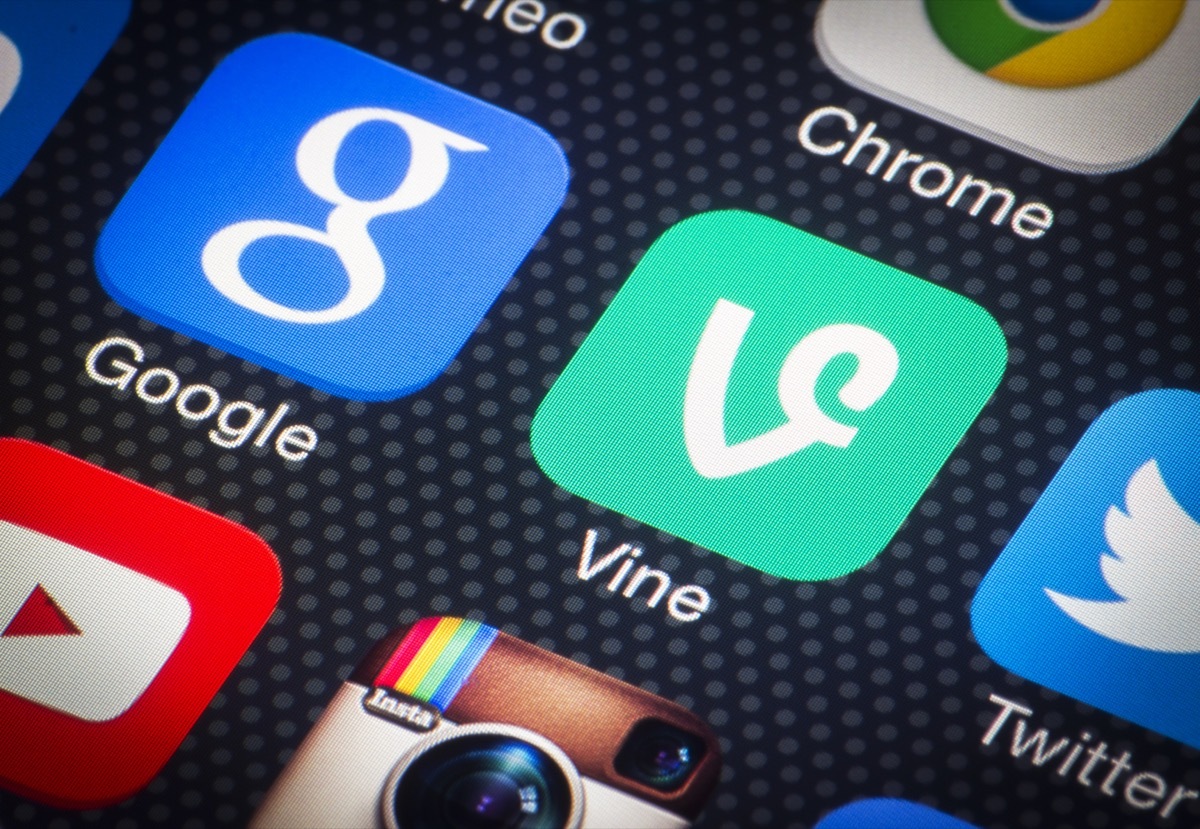 vine app on a phone