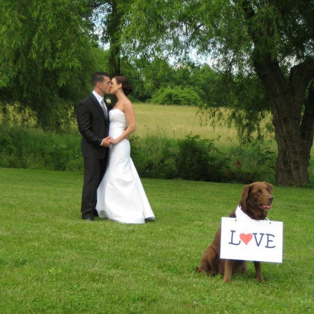 dog serves as best man at wedding, goes viral 