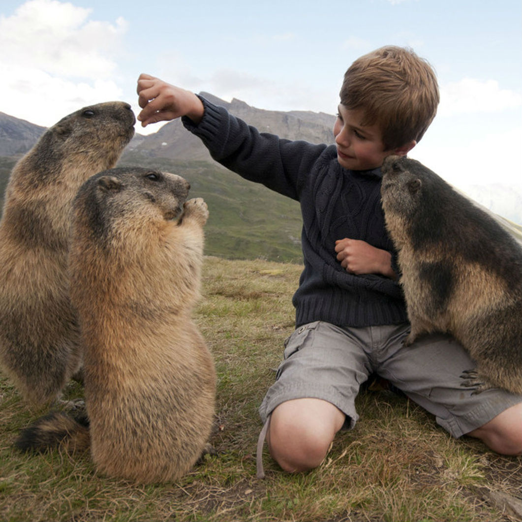 Matteo Walch, The Marmot Whisperer