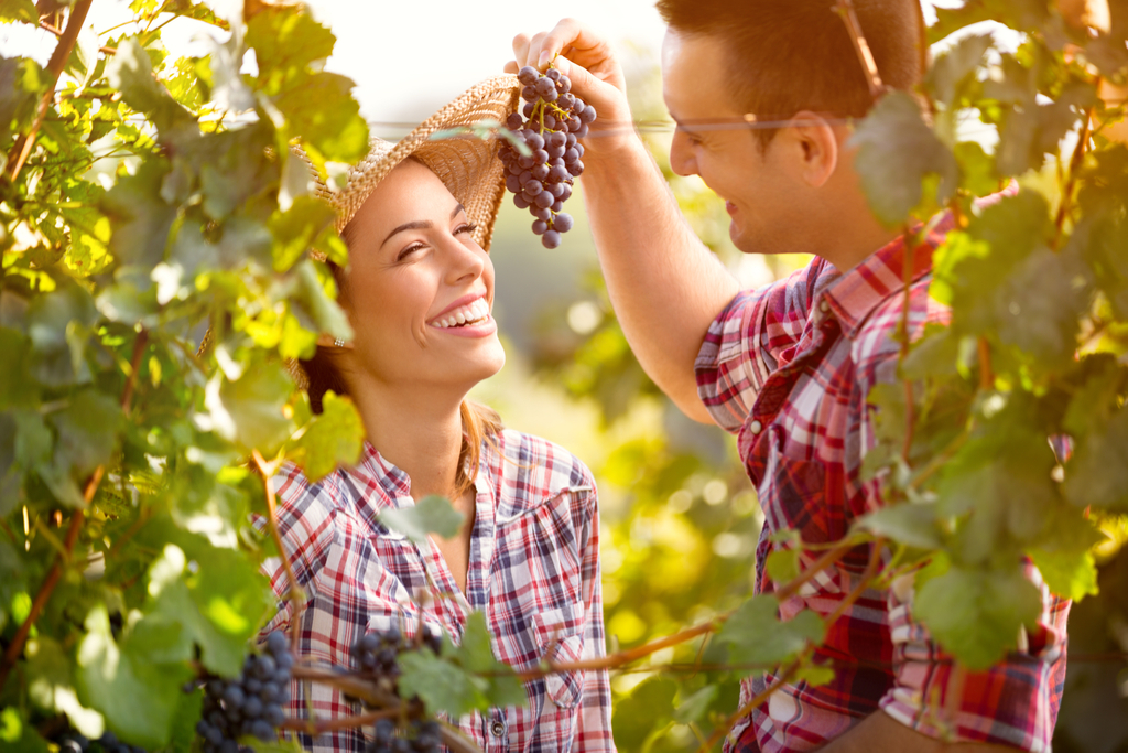 Couple Eating Concord Grapes Anti-Aging