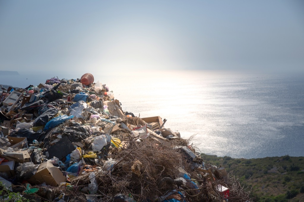 Great Pacific Garbage Patch Astonishing Facts