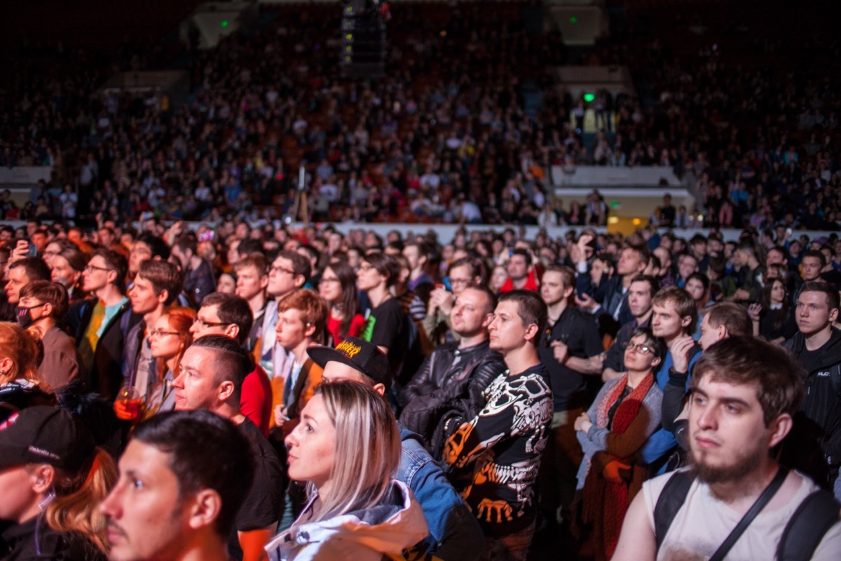 The crowd of visitors to the festival.