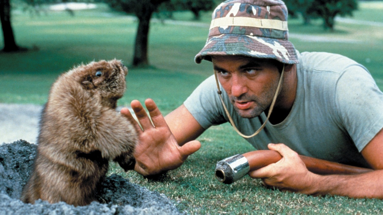 bill murray in caddyshack