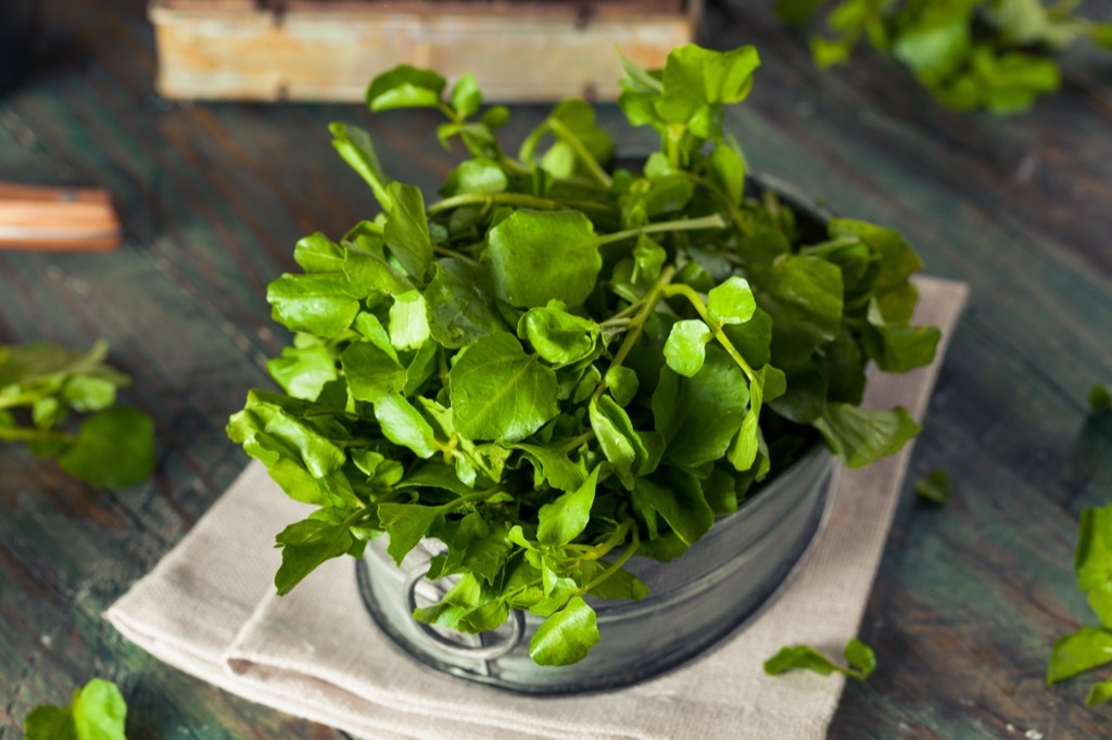 Watercress Anti-Aging Foods