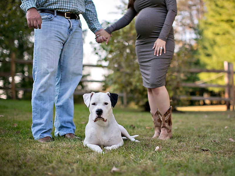 Fun And Creative Pregnancy Photo Ideas 2