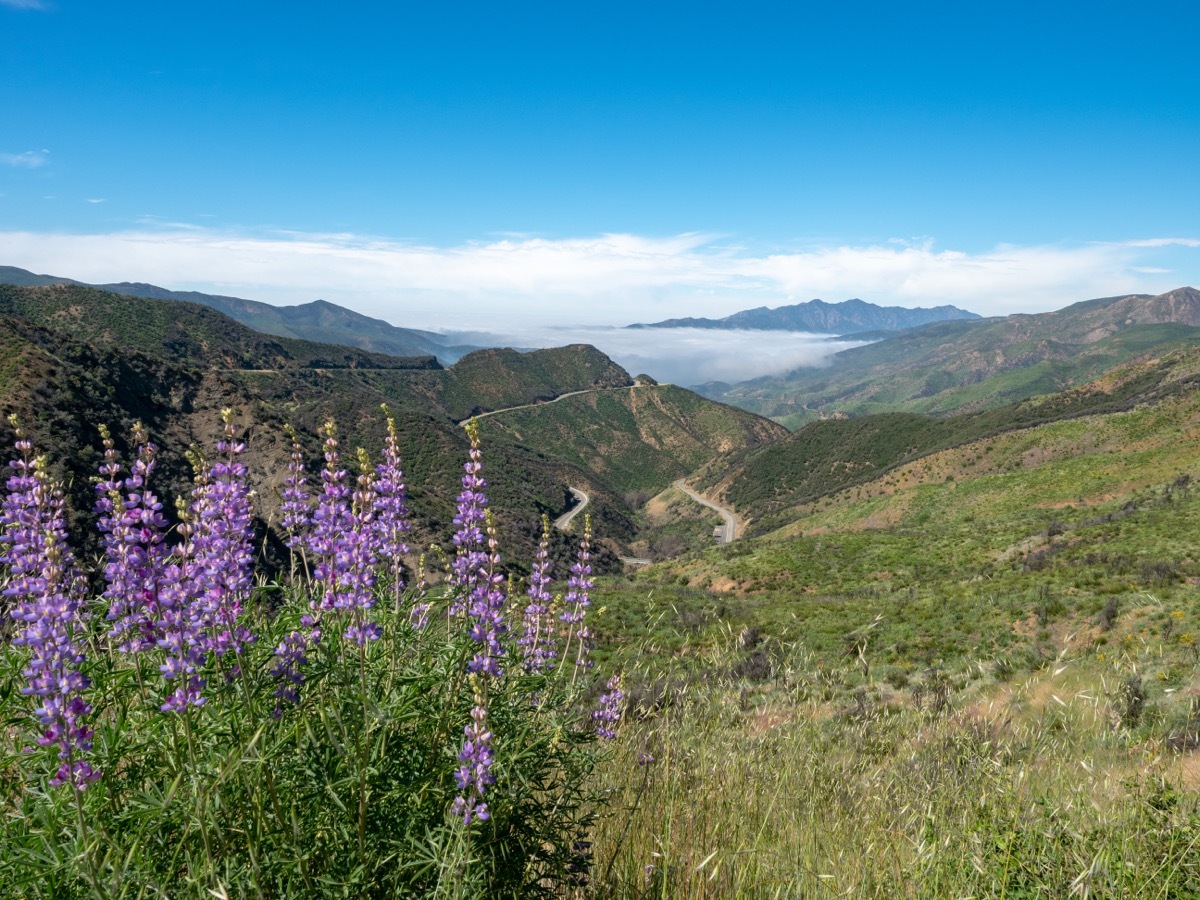 los padres national forest ojai, california