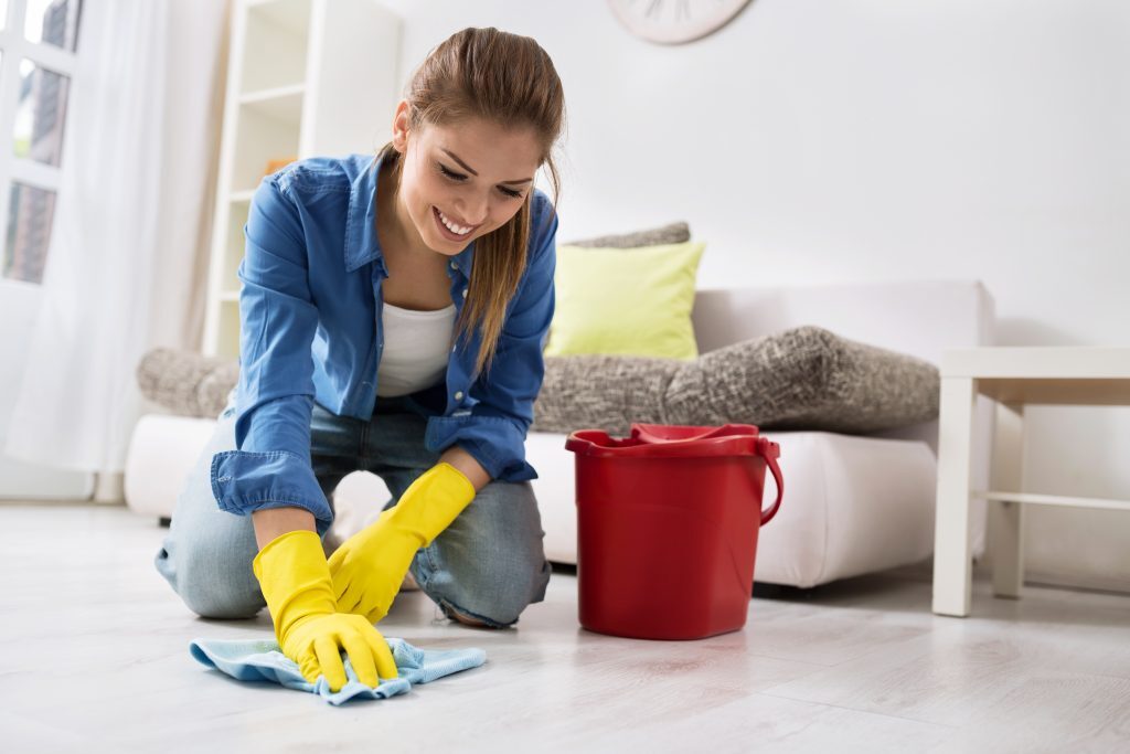 Woman Cleaning in Home