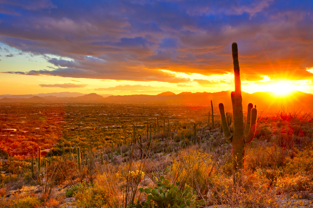 tuscon, arizona State Jokes