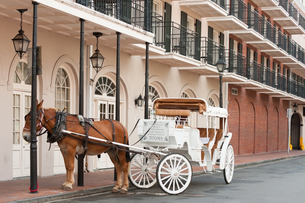 New Orleans Horse and Buggie