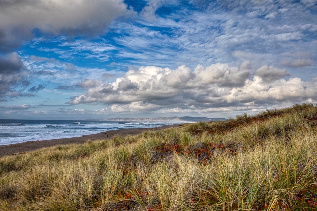 Beach in Northern California