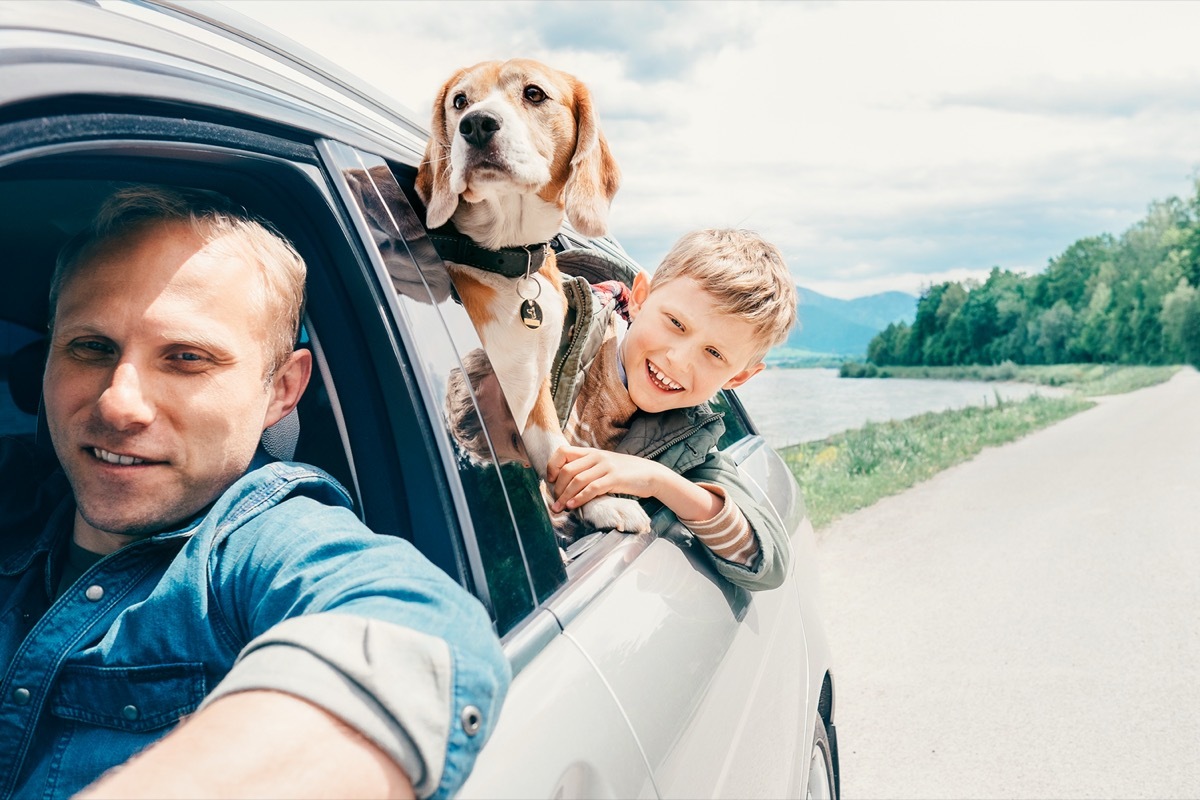 Father with son and dog look from the car window